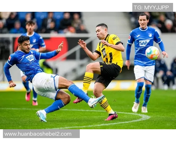 海牙与埃门对决前瞻分析及比分预测探讨